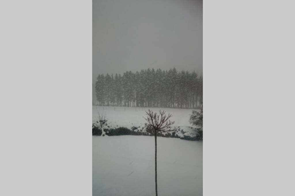 Ruhe Oase Mit Tollem Fernblick Inmitten Der Natur Limbach  Exterior photo